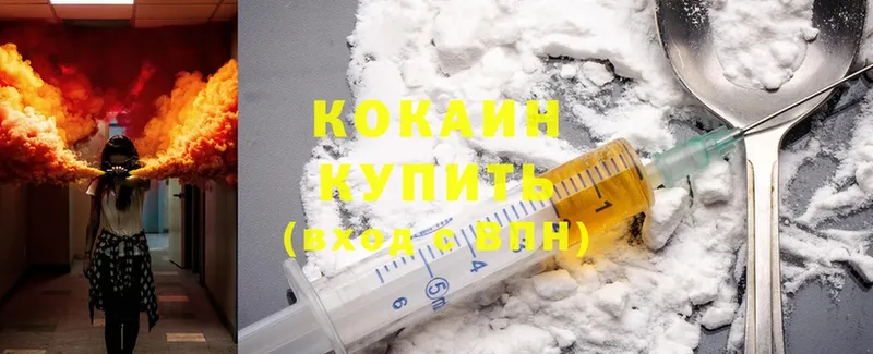 блэк спрут ССЫЛКА  Камбарка  Cocaine FishScale 